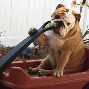 Meet your Posher, Debbie